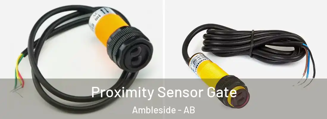  Proximity Sensor Gate Ambleside - AB