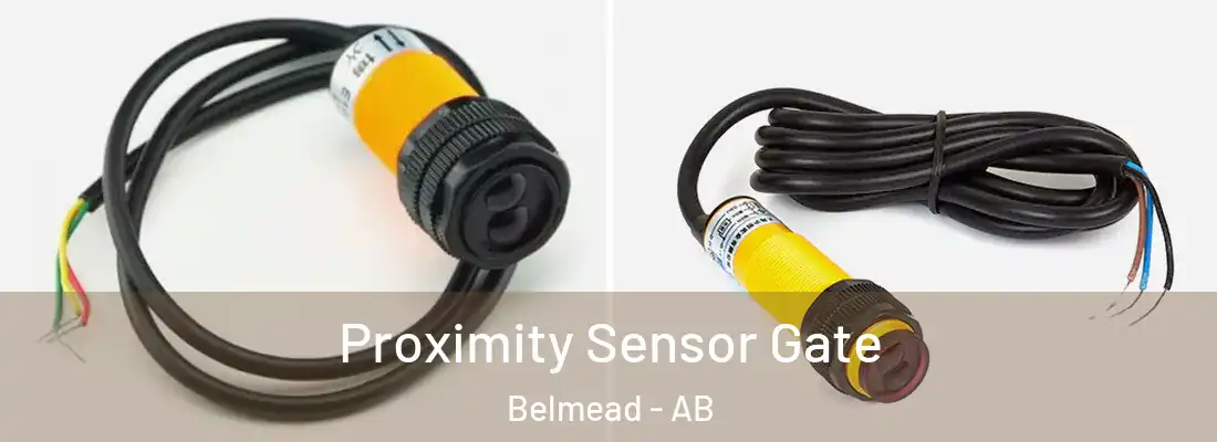  Proximity Sensor Gate Belmead - AB