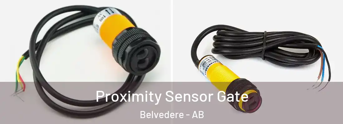  Proximity Sensor Gate Belvedere - AB