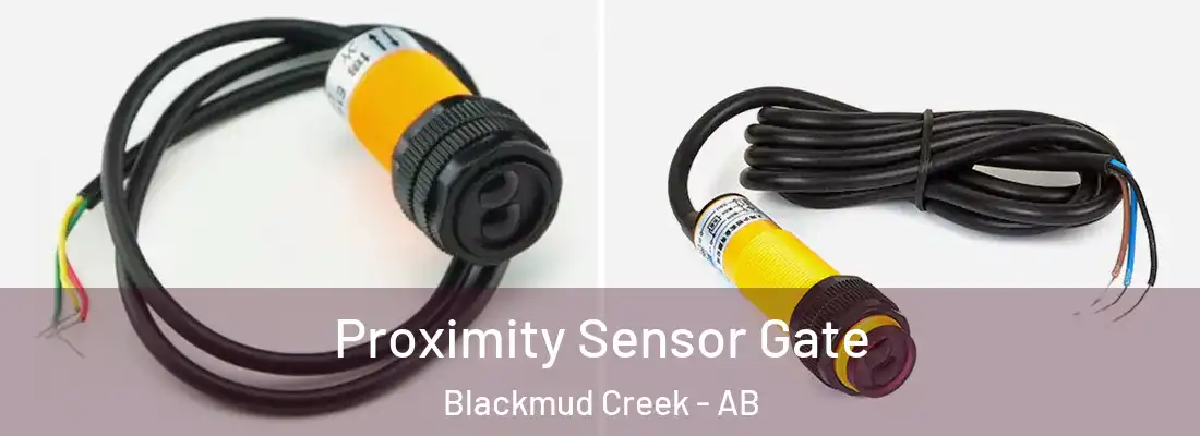  Proximity Sensor Gate Blackmud Creek - AB