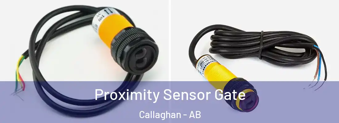  Proximity Sensor Gate Callaghan - AB