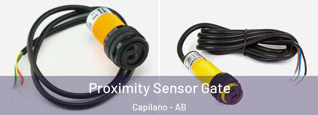  Proximity Sensor Gate Capilano - AB