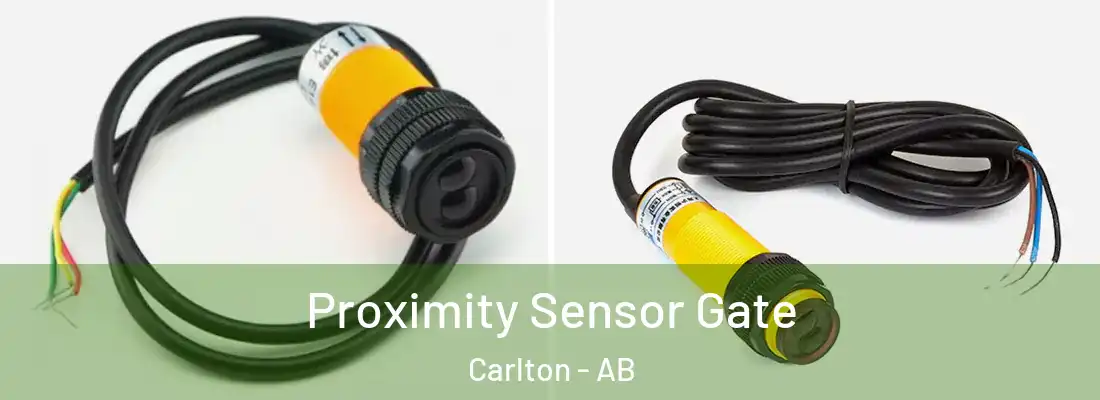  Proximity Sensor Gate Carlton - AB