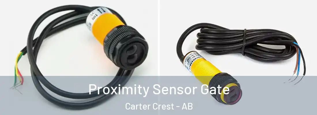  Proximity Sensor Gate Carter Crest - AB