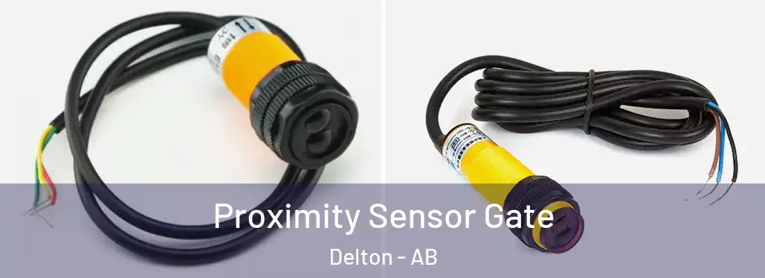  Proximity Sensor Gate Delton - AB