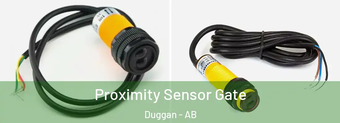  Proximity Sensor Gate Duggan - AB