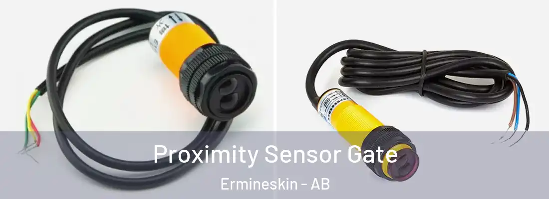  Proximity Sensor Gate Ermineskin - AB