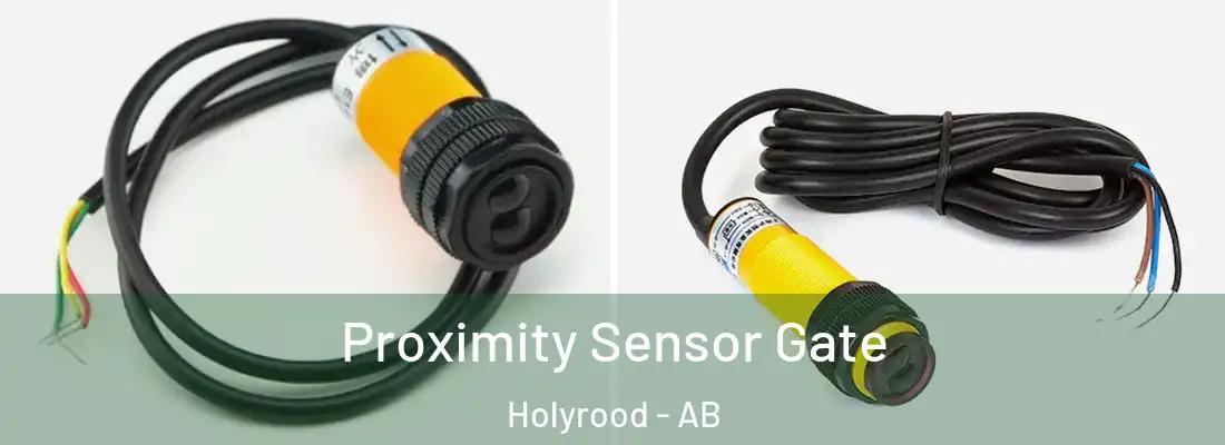  Proximity Sensor Gate Holyrood - AB