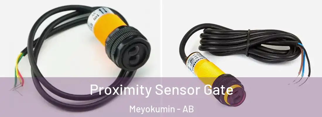  Proximity Sensor Gate Meyokumin - AB