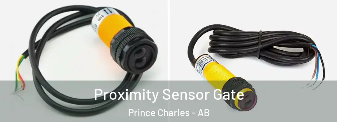  Proximity Sensor Gate Prince Charles - AB