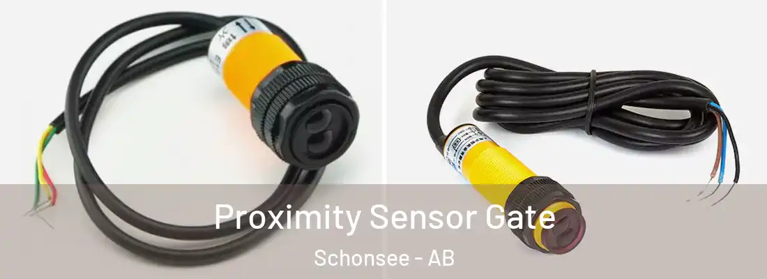  Proximity Sensor Gate Schonsee - AB