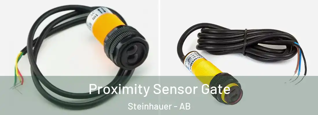  Proximity Sensor Gate Steinhauer - AB