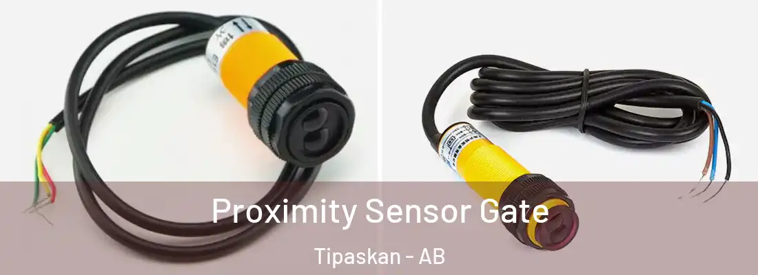  Proximity Sensor Gate Tipaskan - AB