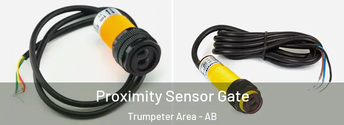  Proximity Sensor Gate Trumpeter Area - AB