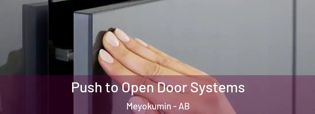  Push to Open Door Systems Meyokumin - AB
