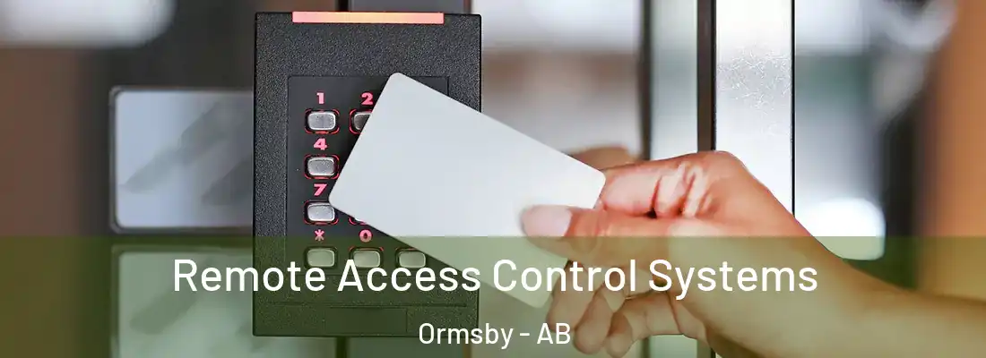  Remote Access Control Systems Ormsby - AB