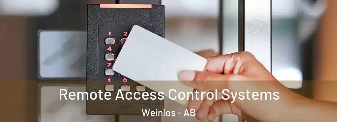  Remote Access Control Systems Weinlos - AB