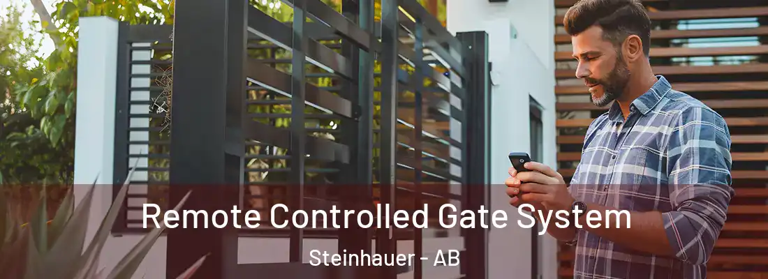  Remote Controlled Gate System Steinhauer - AB