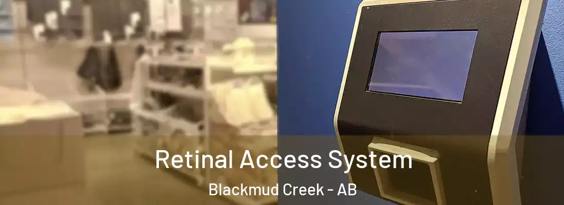  Retinal Access System Blackmud Creek - AB