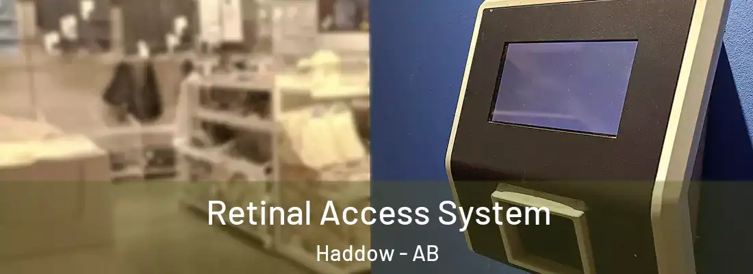  Retinal Access System Haddow - AB