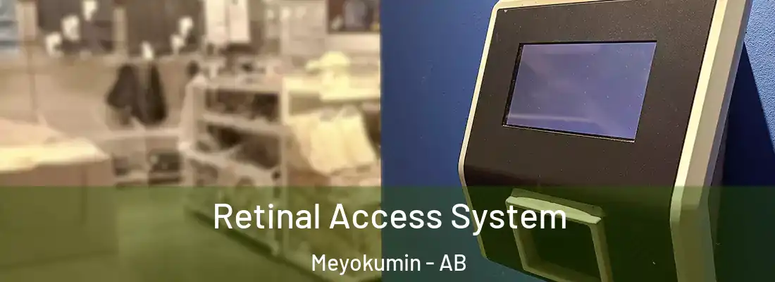  Retinal Access System Meyokumin - AB