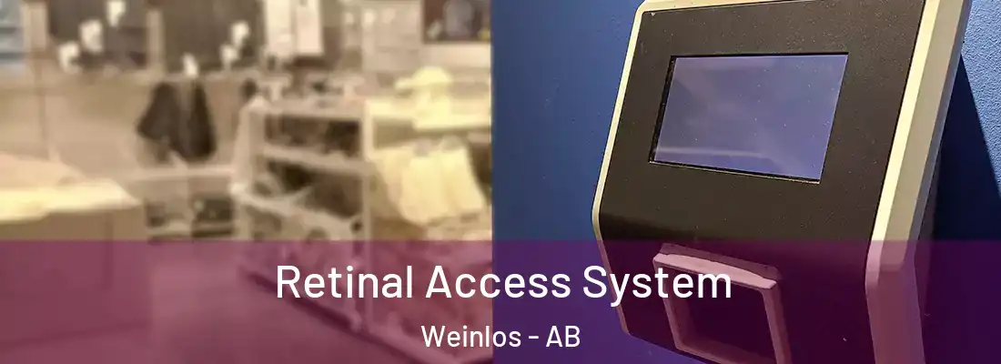  Retinal Access System Weinlos - AB