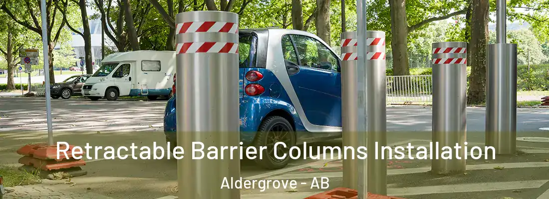  Retractable Barrier Columns Installation Aldergrove - AB
