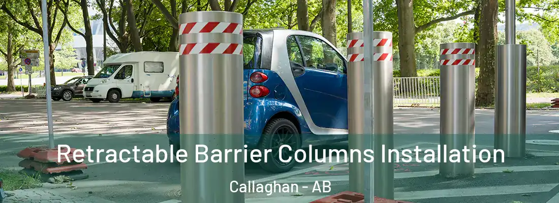  Retractable Barrier Columns Installation Callaghan - AB