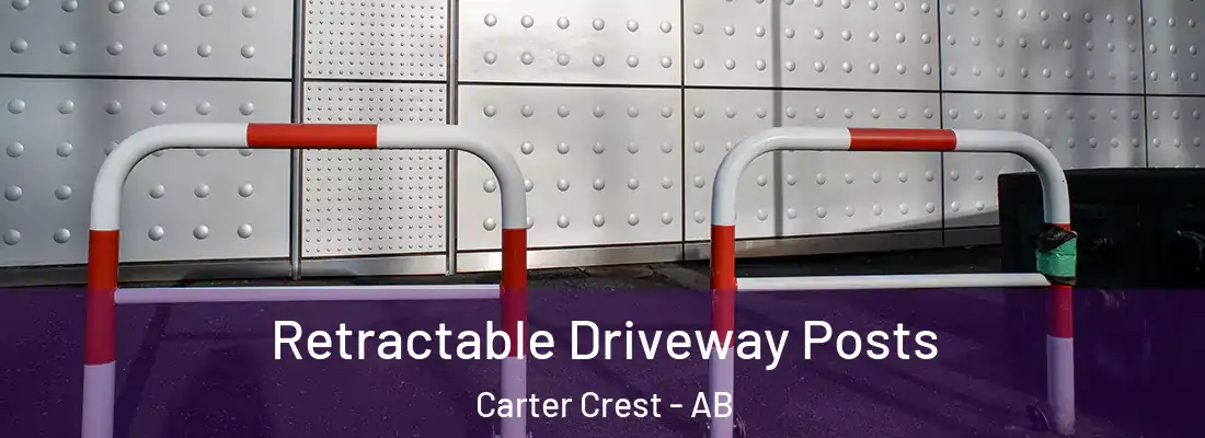  Retractable Driveway Posts Carter Crest - AB