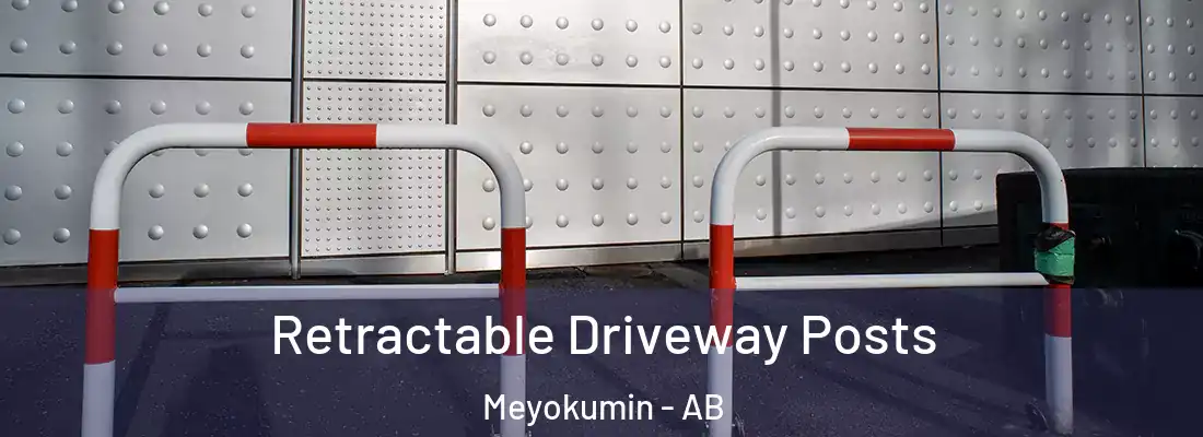  Retractable Driveway Posts Meyokumin - AB