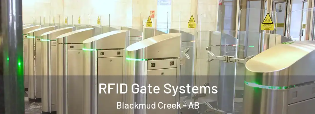  RFID Gate Systems Blackmud Creek - AB