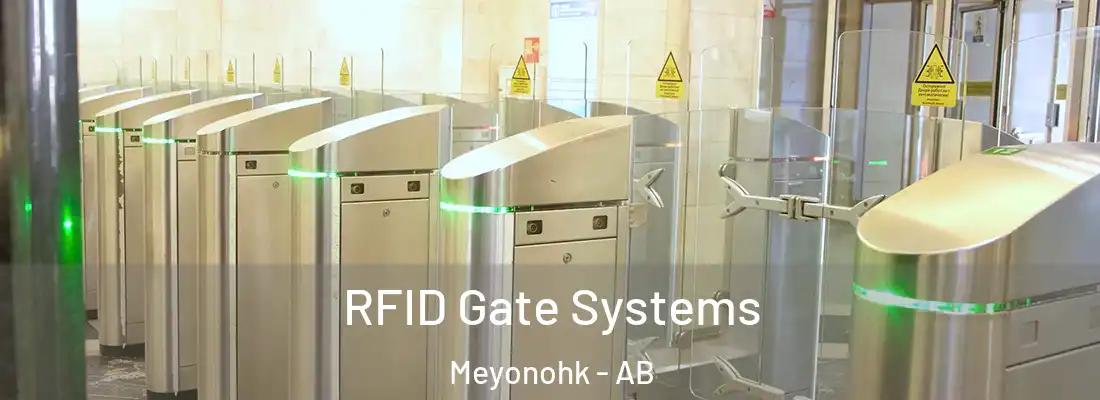  RFID Gate Systems Meyonohk - AB