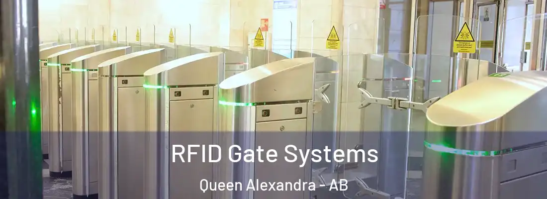  RFID Gate Systems Queen Alexandra - AB