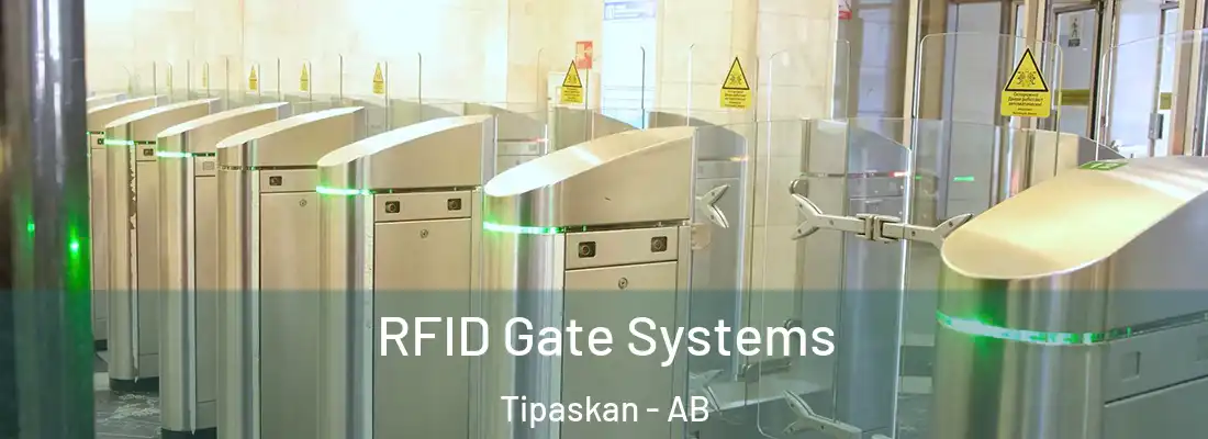  RFID Gate Systems Tipaskan - AB