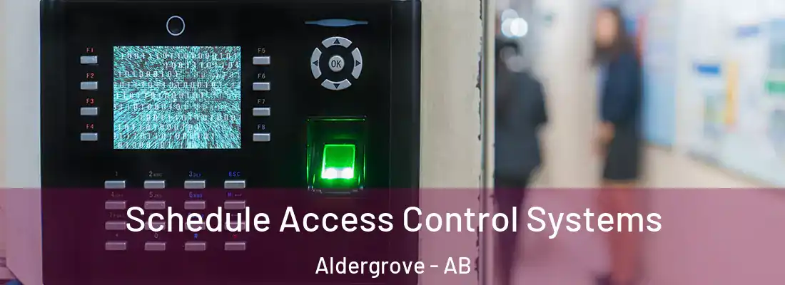  Schedule Access Control Systems Aldergrove - AB