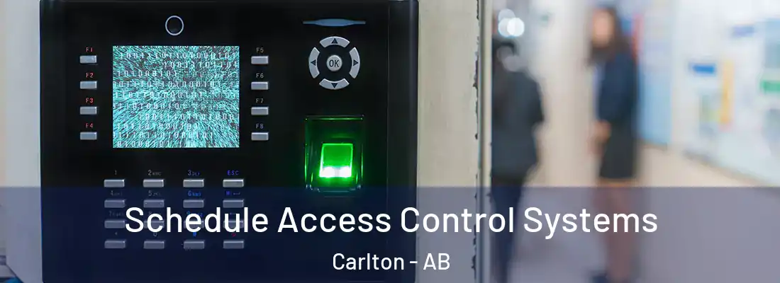  Schedule Access Control Systems Carlton - AB