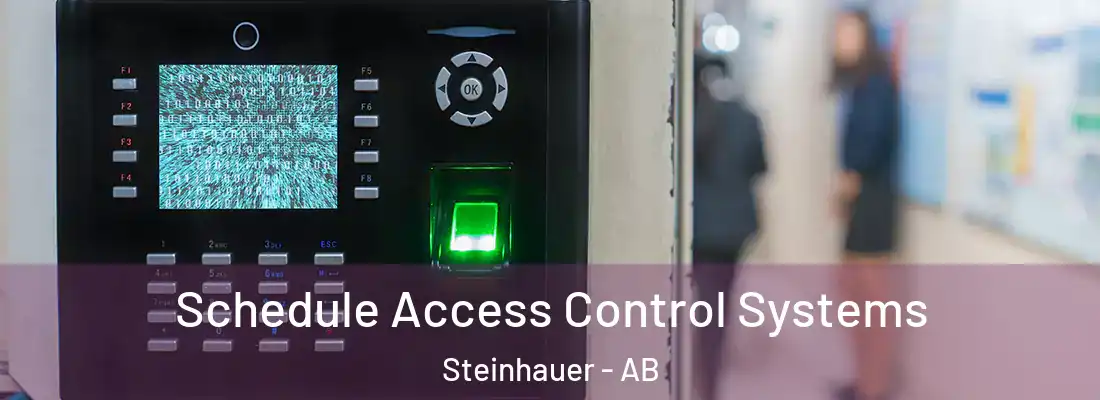  Schedule Access Control Systems Steinhauer - AB