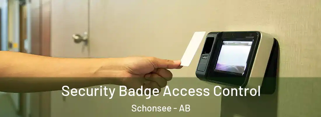  Security Badge Access Control Schonsee - AB