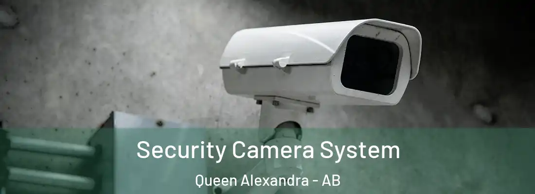  Security Camera System Queen Alexandra - AB