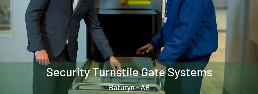  Security Turnstile Gate Systems Baturyn - AB