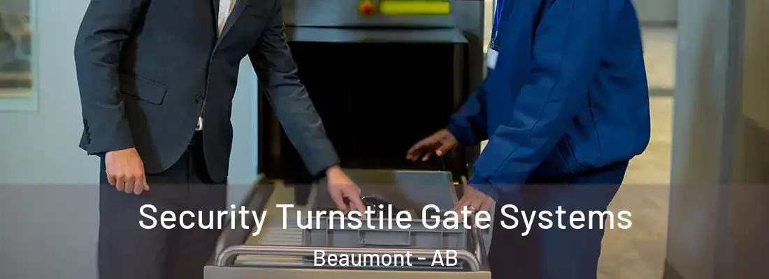  Security Turnstile Gate Systems Beaumont - AB