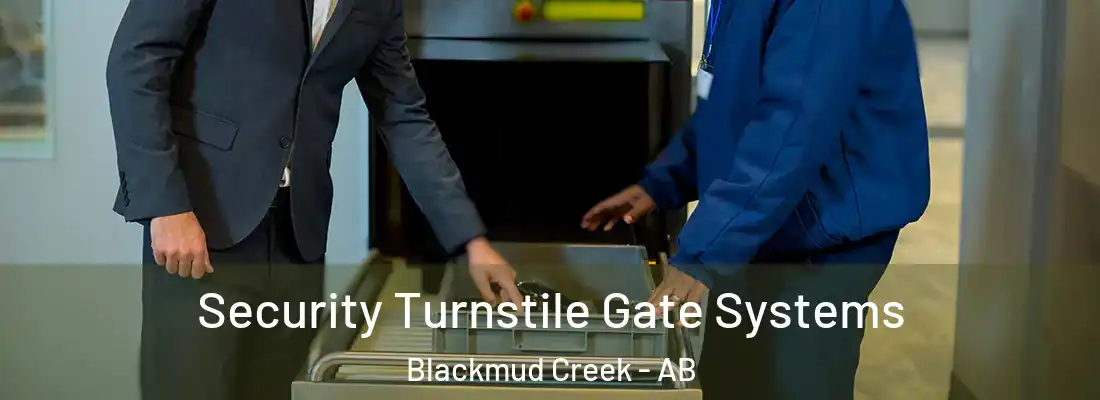  Security Turnstile Gate Systems Blackmud Creek - AB