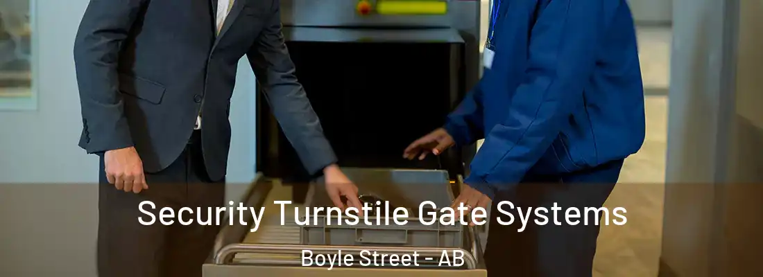  Security Turnstile Gate Systems Boyle Street - AB