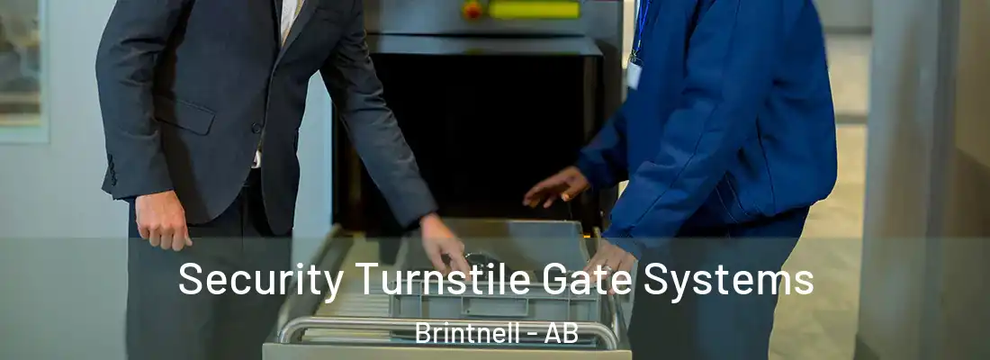  Security Turnstile Gate Systems Brintnell - AB