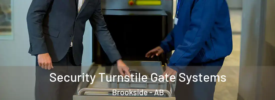  Security Turnstile Gate Systems Brookside - AB