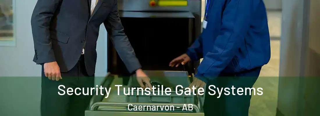  Security Turnstile Gate Systems Caernarvon - AB