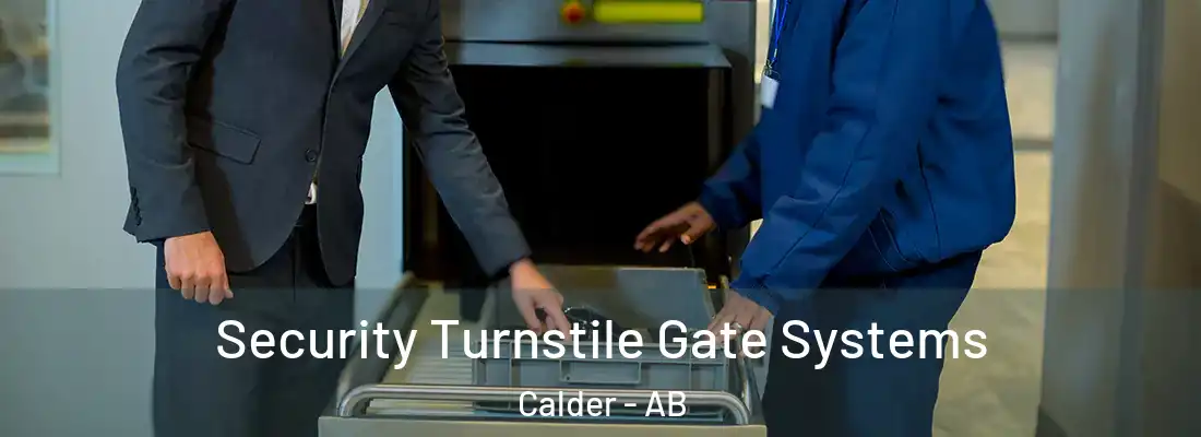  Security Turnstile Gate Systems Calder - AB