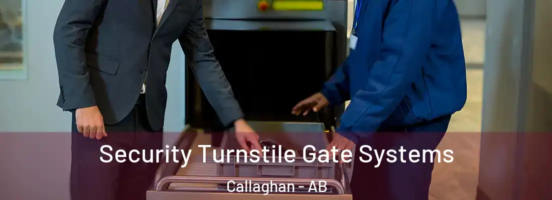  Security Turnstile Gate Systems Callaghan - AB