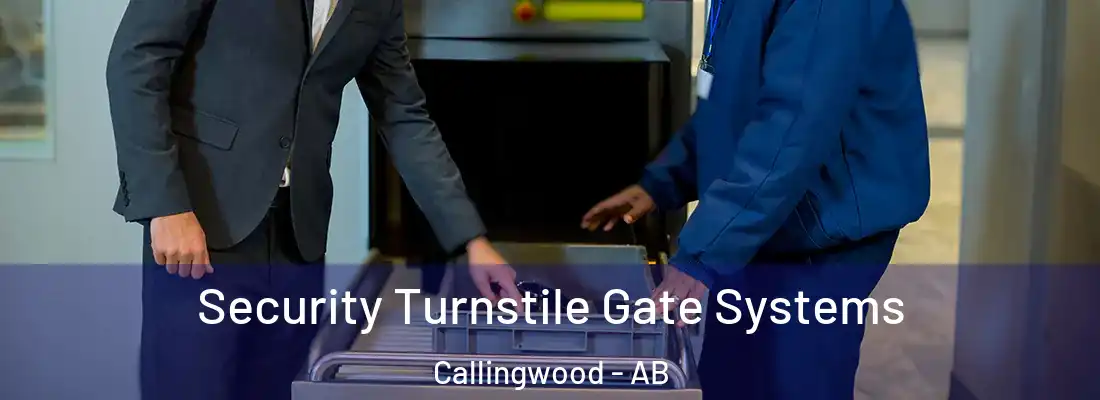 Security Turnstile Gate Systems Callingwood - AB