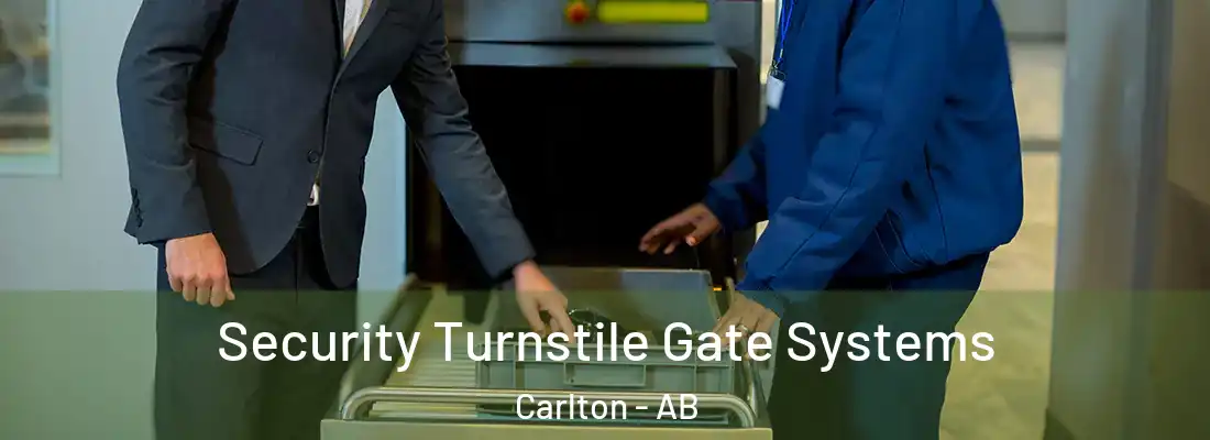  Security Turnstile Gate Systems Carlton - AB
